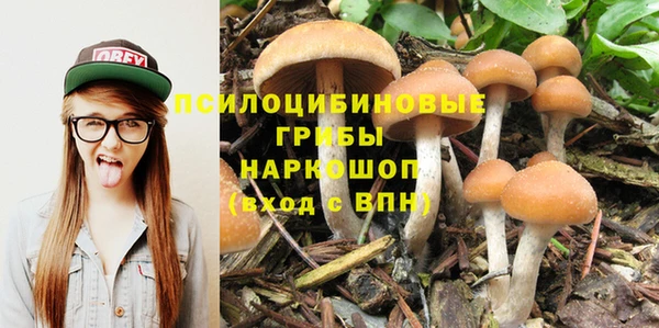 амф Козельск