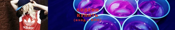 амф Козельск