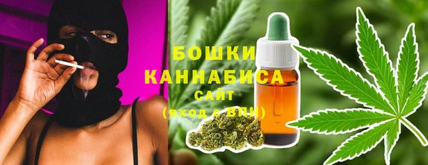гашик Кодинск