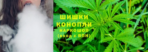 гашик Кодинск