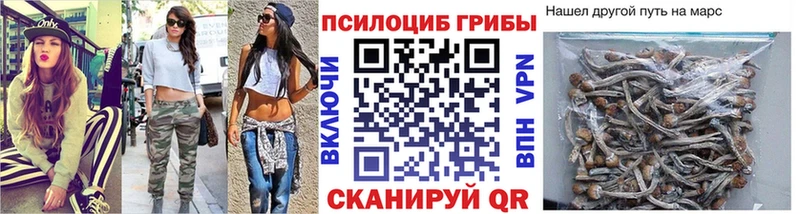Галлюциногенные грибы GOLDEN TEACHER  закладка  Полтавская 